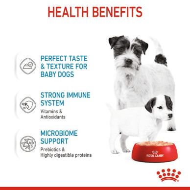 Royal Canin Starter Mother & Babydog – Hrană Umedă pentru Cățele Gestante, Lactante și Pui (de la Înțărcare până la 2 luni) – 195 g